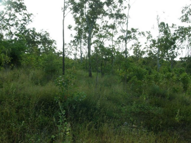 Lot 22 Lelona Drive, Bloomsbury QLD 4799