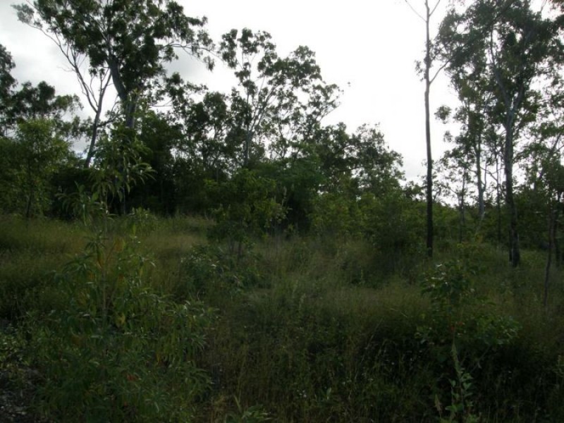 Lot 22 Lelona Drive, Bloomsbury QLD 4799