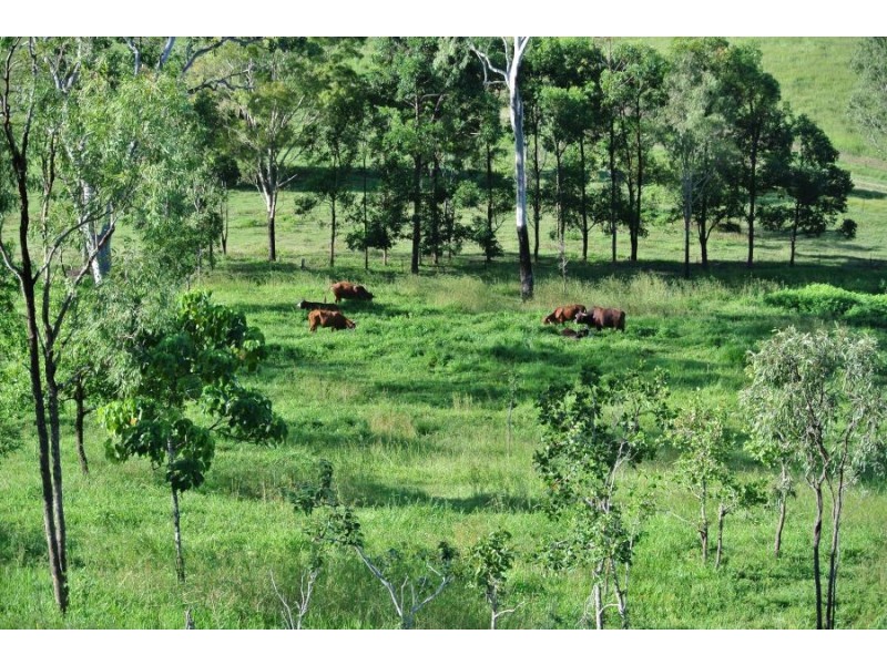 259 Mountney Road, Sarina QLD 4737