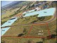 Muswellbrook NSW 2333
