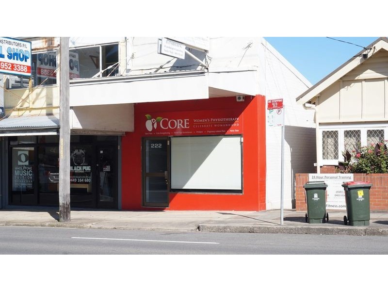 222 Brunker Road, Adamstown NSW 2289