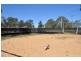Adare QLD 4343