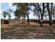Gatton QLD 4343