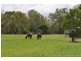 1084 Gatton Esk Road, Spring Creek QLD 4343