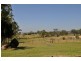 Placid Hills QLD 4343