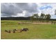 252 Buaraba Creek Road, Buaraba QLD 4311