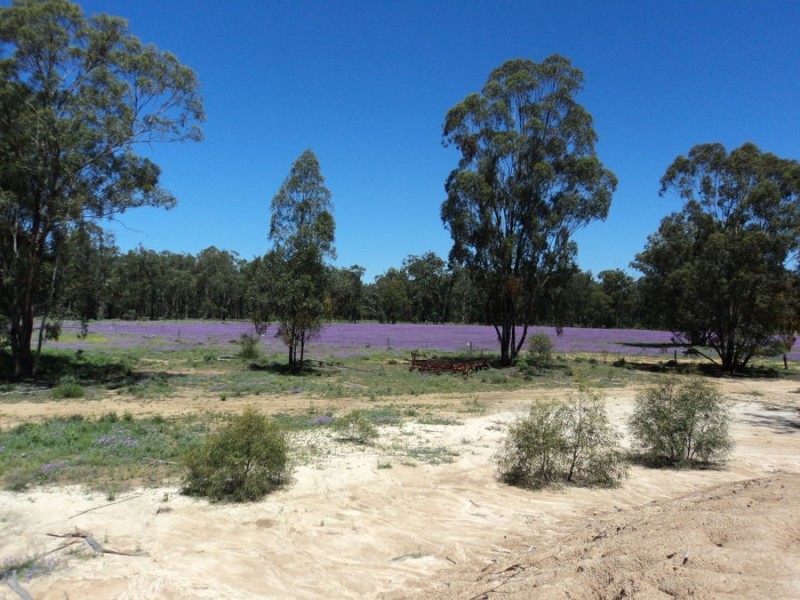 14 Goodwins Road, Coolmunda QLD 4387