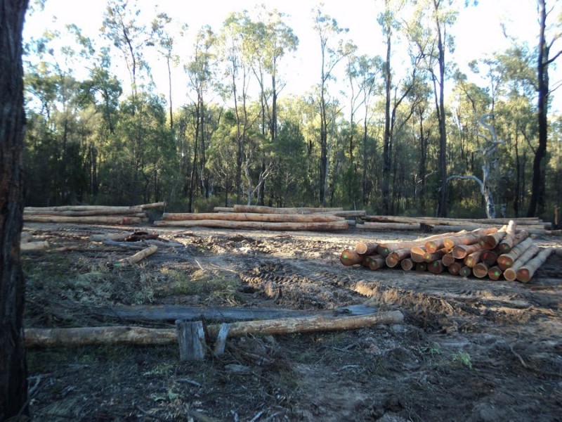 14 Goodwins Road, Coolmunda QLD 4387