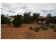 8 Fitzpatrick Court, Lake Clarendon QLD 4343