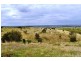174 Ma Ma Lilydale Road, Ma Ma Creek QLD 4347