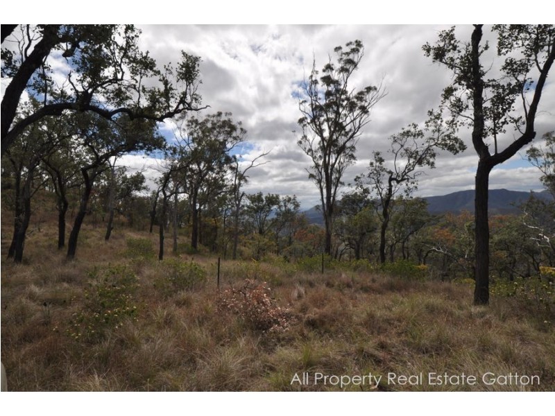 Goltz Road, Black Duck Creek QLD 4343