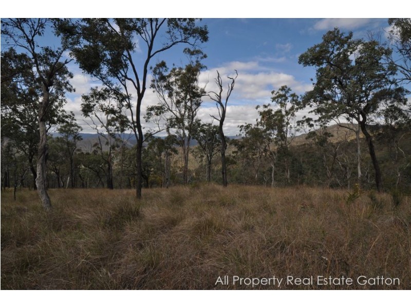 Goltz Road, Black Duck Creek QLD 4343