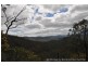 Goltz Road, Black Duck Creek QLD 4343
