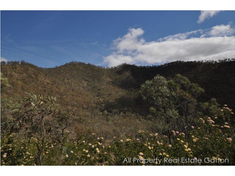 Goltz Road, Black Duck Creek QLD 4343