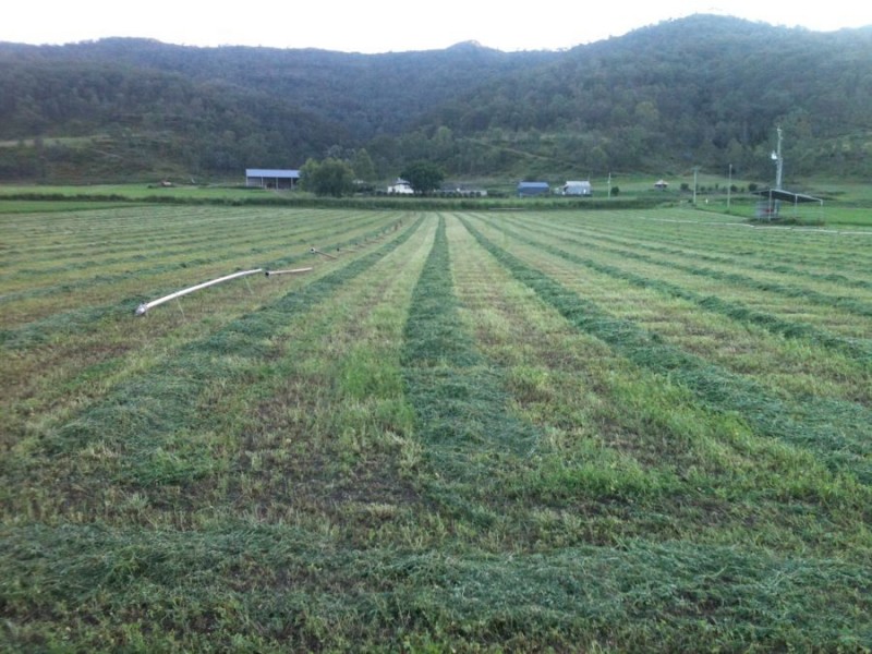 472 East Haldon Road, East Haldon QLD 4343