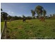63 Ambrose Road, Lower Tenthill QLD 4343