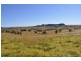 Lot 2 Kleins Road, Ma Ma Creek QLD 4347