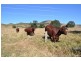Lot 2 Kleins Road, Ma Ma Creek QLD 4347