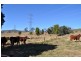 Lot 2 Kleins Road, Ma Ma Creek QLD 4347