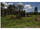 136 Millers Road, Spring Creek QLD 4343