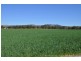 Blenheim QLD 4341