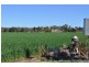 Blenheim QLD 4341
