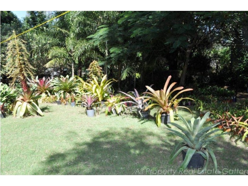 14 Plover Court, Laidley Heights QLD 4341