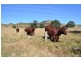 Lot 1 Kleins Road, Ma Ma Creek QLD 4347