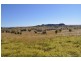 Lot 1 Kleins Road, Ma Ma Creek QLD 4347