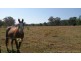 Summerholm QLD 4341