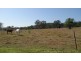 Summerholm QLD 4341