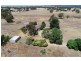 631 Lookout Road, Walla Walla NSW 2659