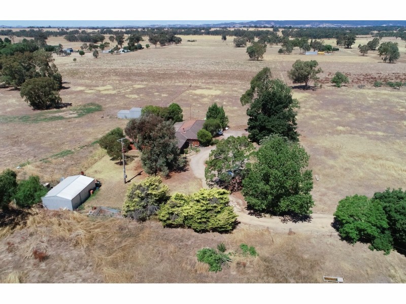 631 Lookout Road, Walla Walla NSW 2659