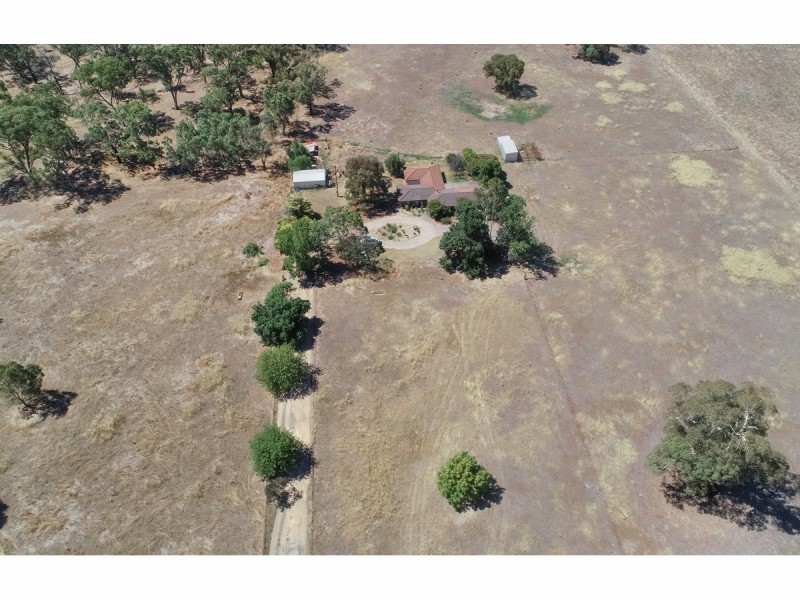 631 Lookout Road, Walla Walla NSW 2659