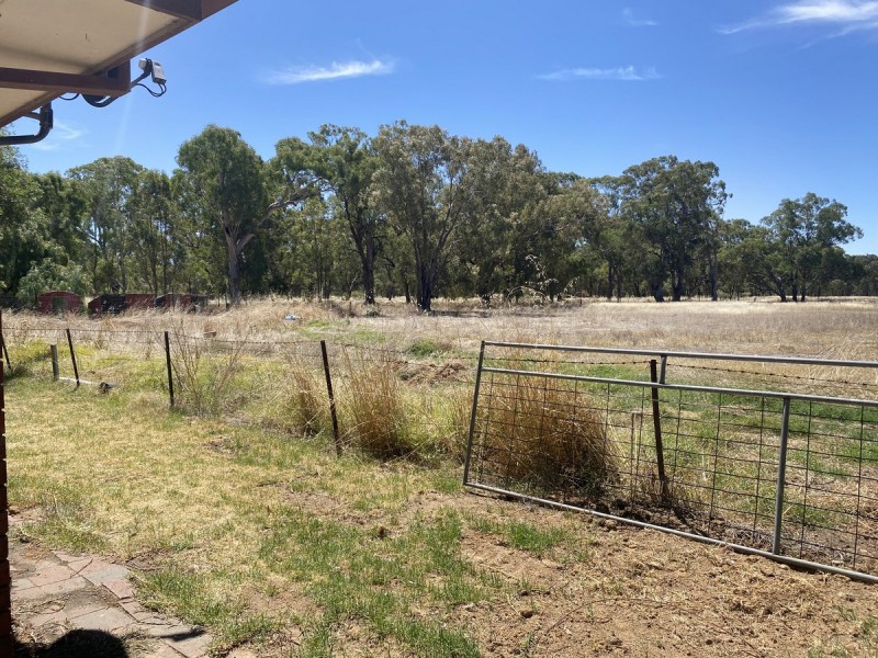 631 Lookout Road, Walla Walla NSW 2659