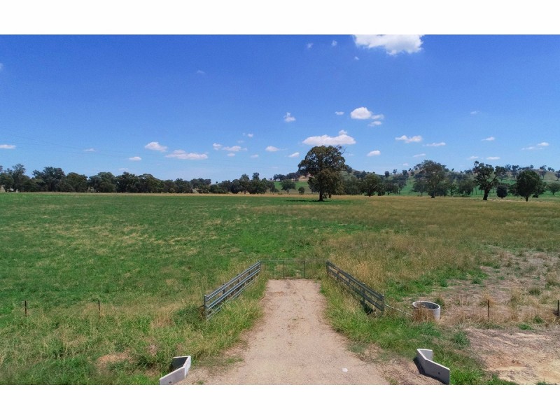 395 Jelbart Road, Jindera NSW 2642