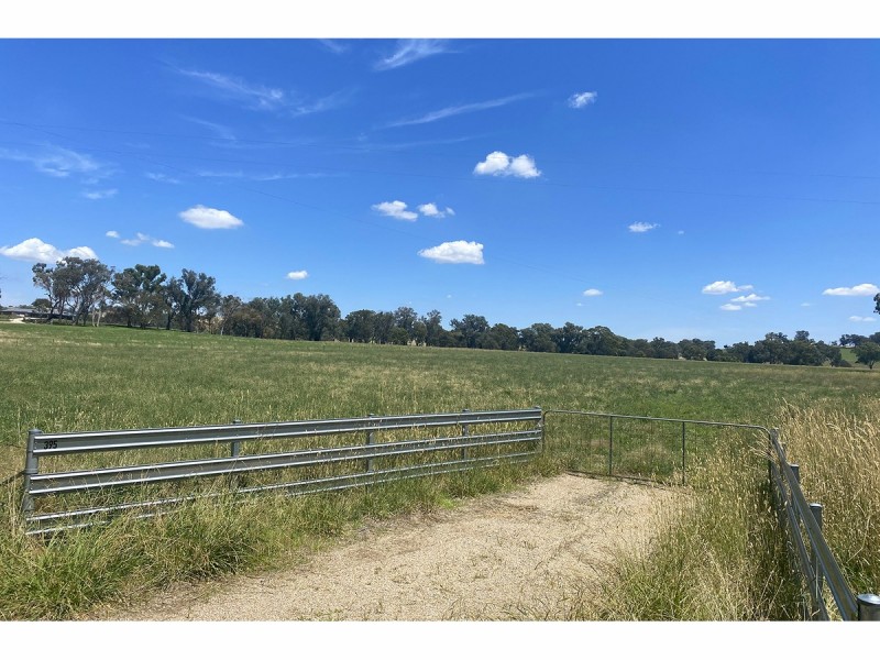 395 Jelbart Road, Jindera NSW 2642