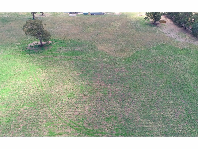 395 Jelbart Road, Jindera NSW 2642