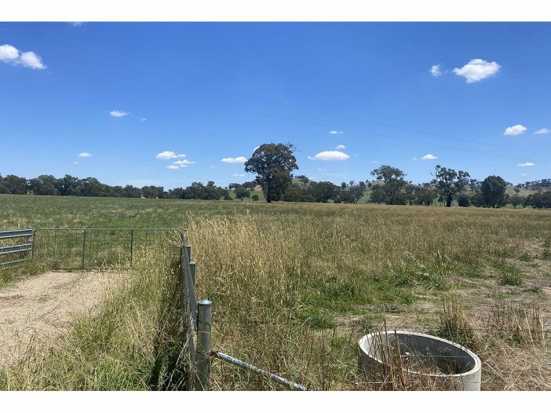 395 Jelbart Road, Jindera NSW 2642