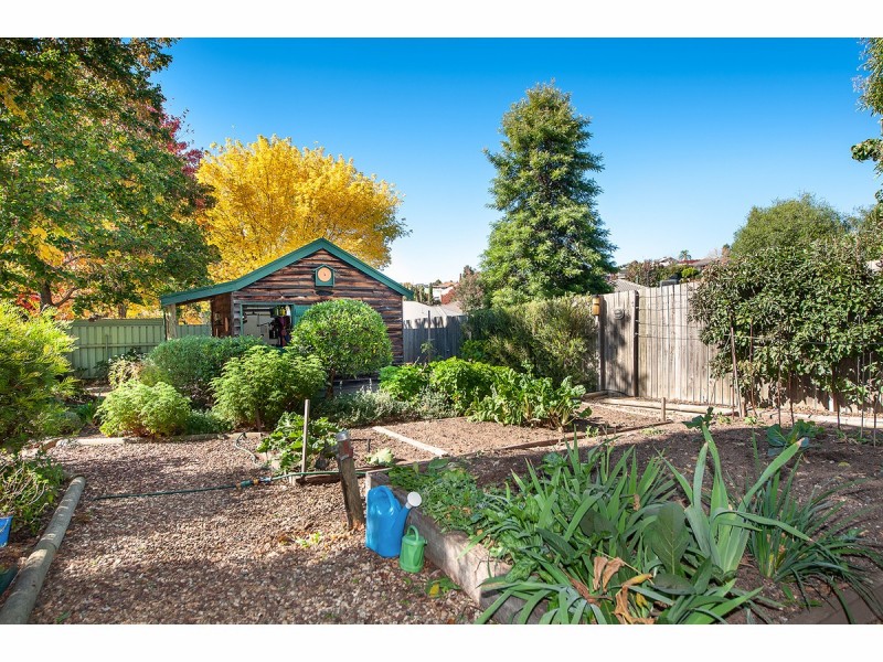 673 Pearsall Street, Lavington NSW 2641