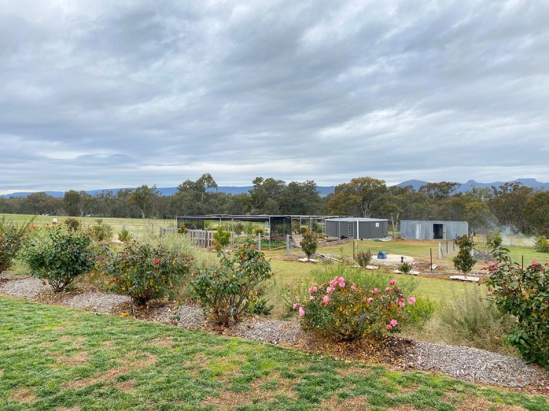 41 Elizabeth Street, Gerogery NSW 2642