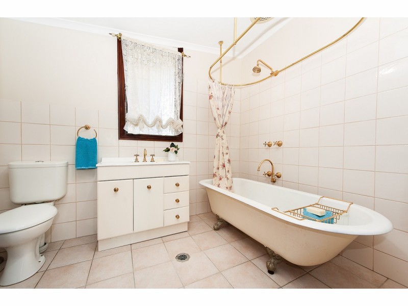 262 Olive Street, South Albury NSW 2640