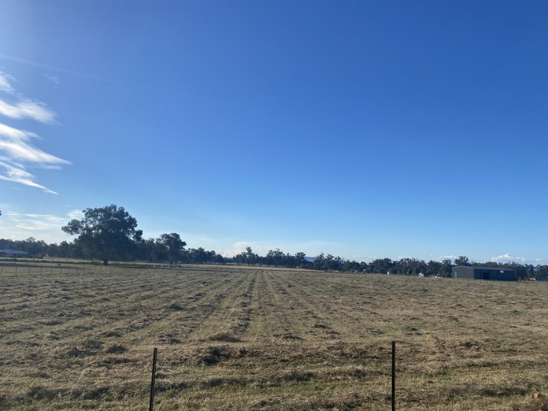 38 Mulgrave Road, Jindera NSW 2642