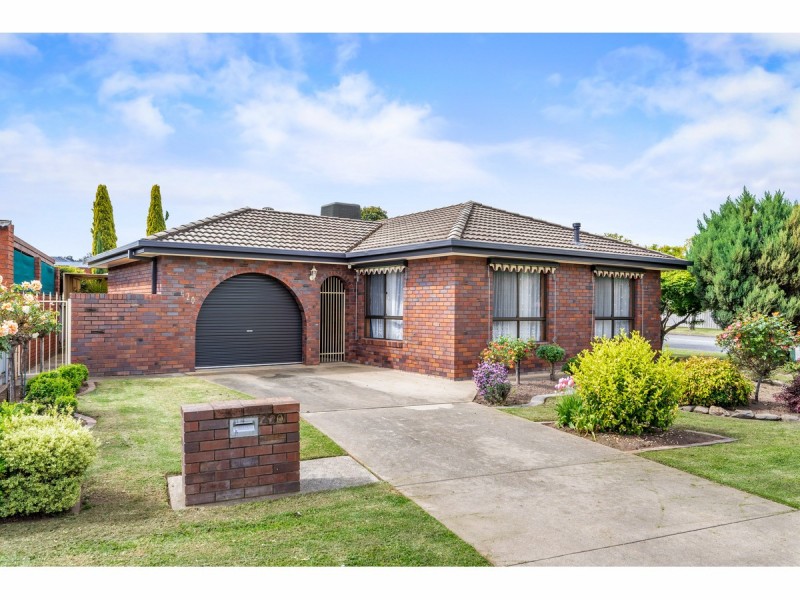 420 Schaefer Street, Lavington NSW 2641