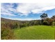 381 Splitters Creek Road, Splitters Creek NSW 2640