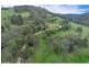 381 Splitters Creek Road, Splitters Creek NSW 2640