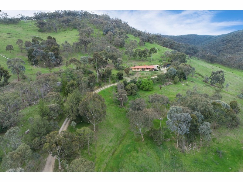 381 Splitters Creek Road, Splitters Creek NSW 2640