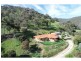 381 Splitters Creek Road, Splitters Creek NSW 2640