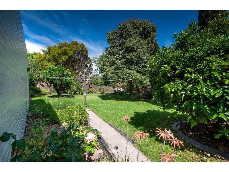 281 Denmar Street, East Albury NSW 2640