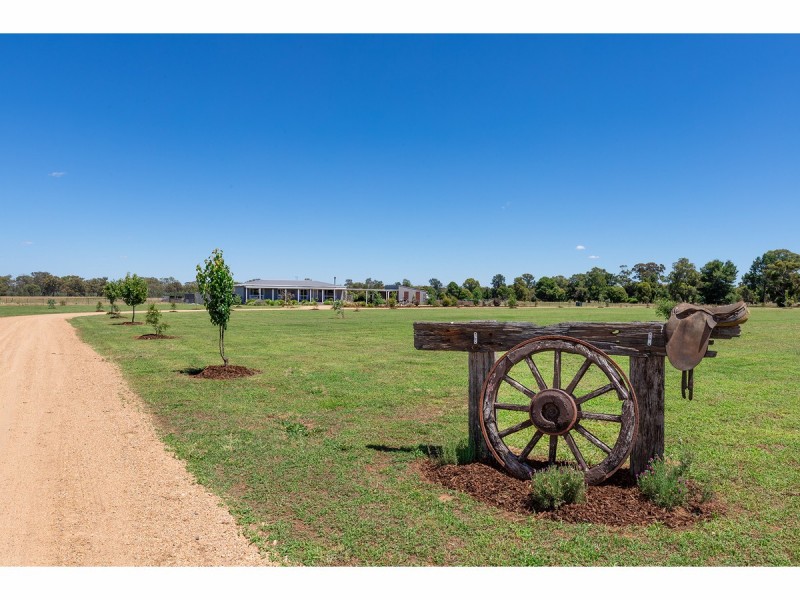 78 Henty Walla Road, Henty NSW 2658